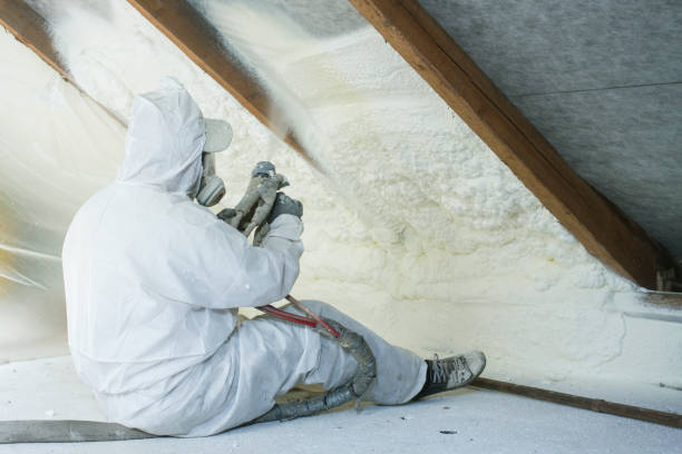 Best Insulation Air Sealing in Orangeburg, SC